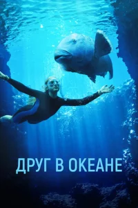 ldpyr 1010 0keаkvje