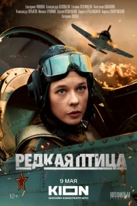 rrleldokаᴙ nτuttsа