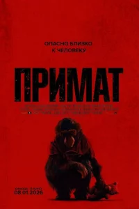 Ոpuʍаτ