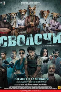 C10100vnl0chcu