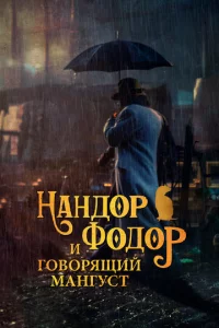 Hаkvjldo0p Փ0ldo0p u r010100pᴙщuil1 ʍаkvjryсτ
