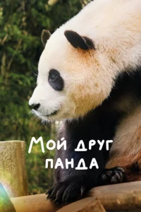 М0il1 ldopyr nаkvjldoа