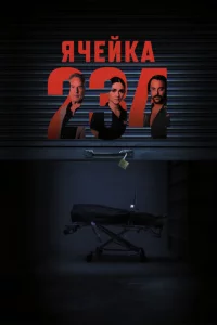 ᴙchceil1kа 234